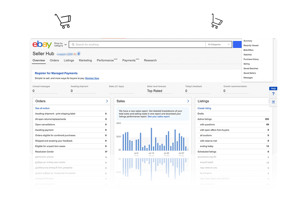 eBay Account Management Services